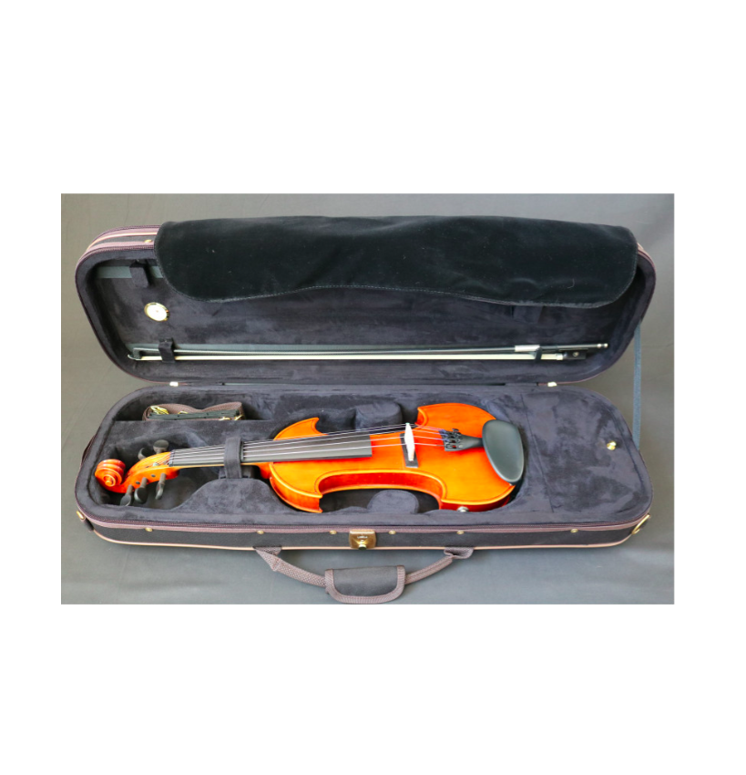 كمان كهربائي 4/4 – موديل 5 حبال – RG-EVIOLINS
