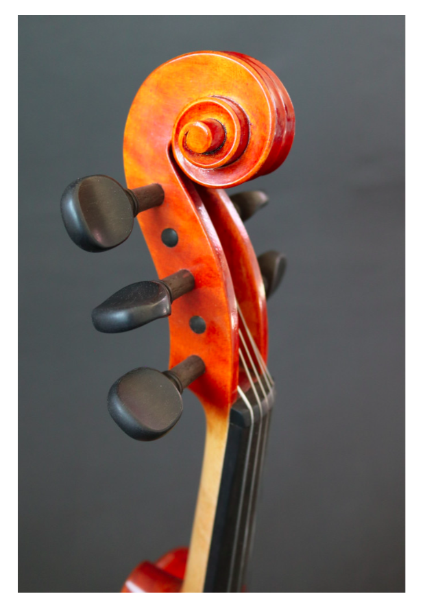 كمان كهربائي 4/4 – موديل 5 حبال – RG-EVIOLINS