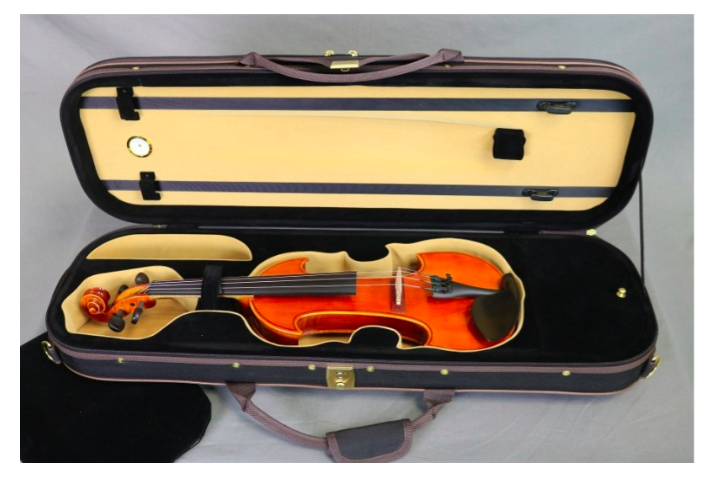 Violon électrique 4/4 – RG-EVIOLINS – Modèle gaucher