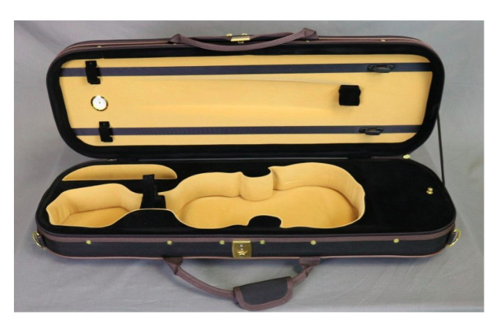 Violon électrique 4/4 – RG-EVIOLINS – Modèle gaucher
