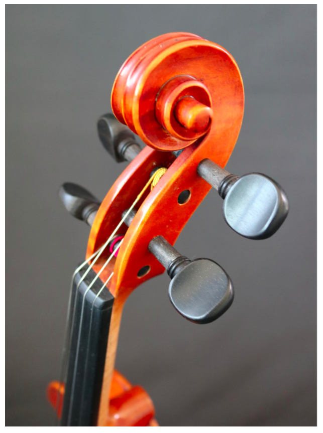 Violon électrique 4/4 – RG-EVIOLINS