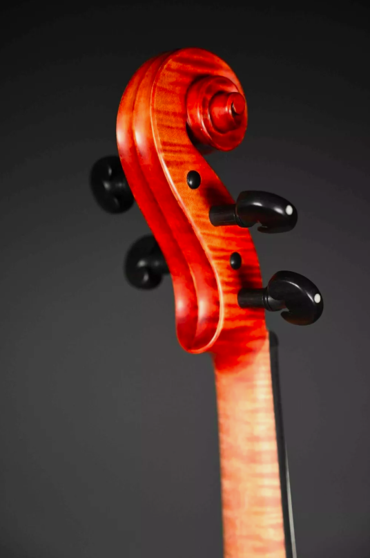 Conrad Götz violon (violon) modèle CANTONATE 140CT-S-