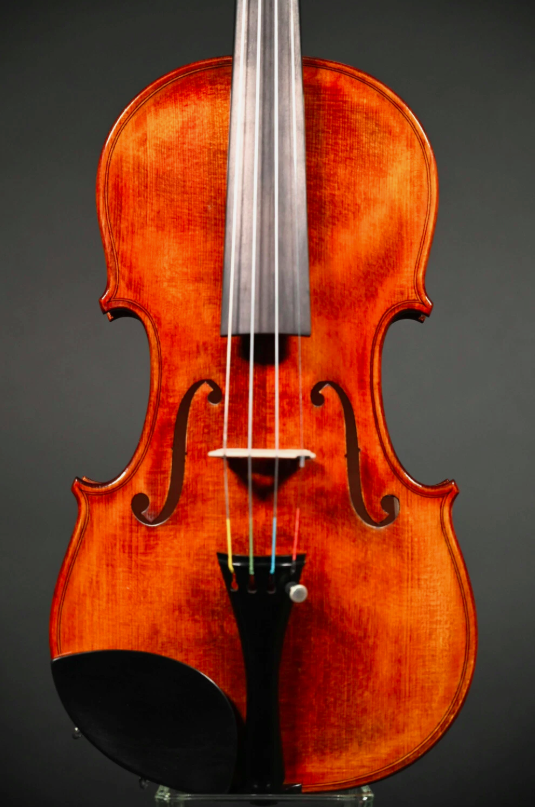 Conrad Götz violon (violon) modèle CANTONATE 140CT-S-