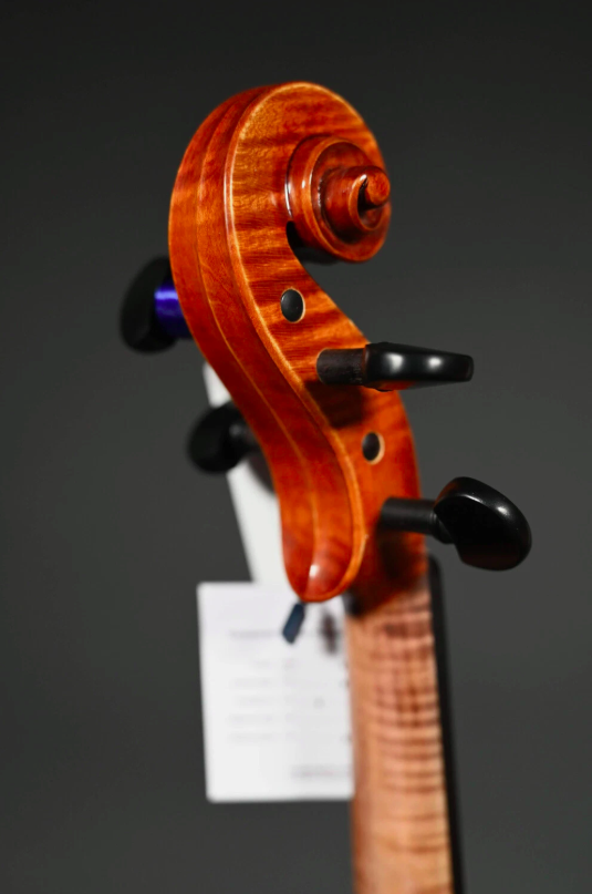 Conrad Götz violon (violon) modèle CANTONATE 140CT-S-