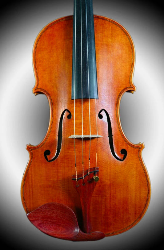 Kalas Csaba 4/4 " Orchestre " Meister Violon Violin Selon Modèle Guarneri Ole