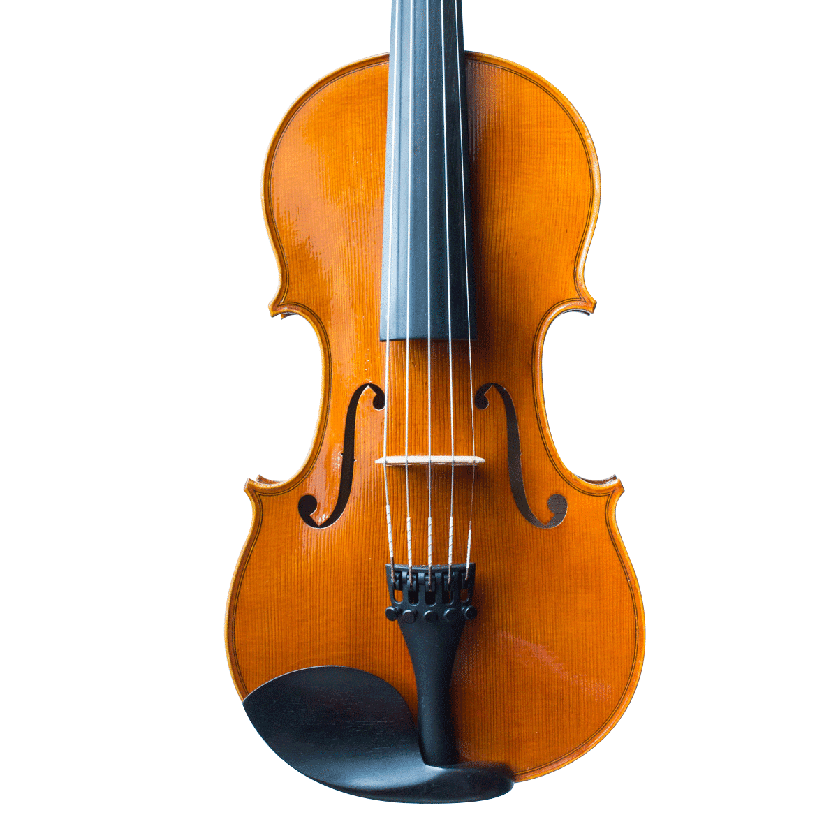 Quinton Passion-Tradition Artisan