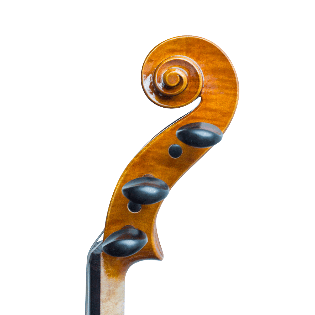 Quinton Passion-Tradition Artisan