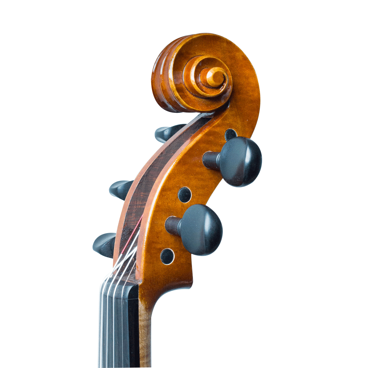 Quinton Passion-Tradition Artisan
