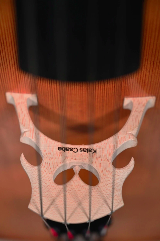 Kalas Csaba " Caraibes " 4/4 Meister Violoncelle (Violoncelle) Unique Travail