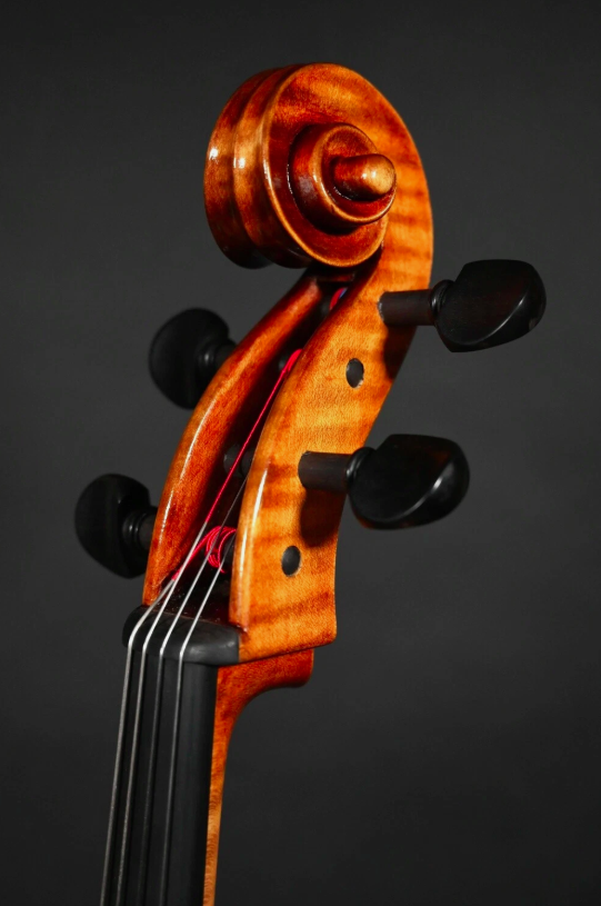 Kalas Csaba " Caraibes " 4/4 Meister Violoncelle (Violoncelle) Unique Travail