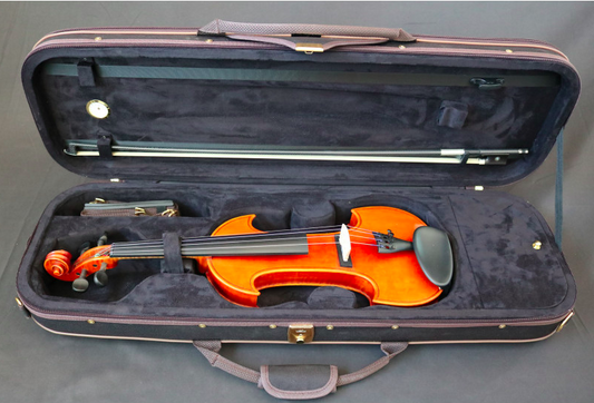 Violon électrique 4/4 – RG-EVIOLINS