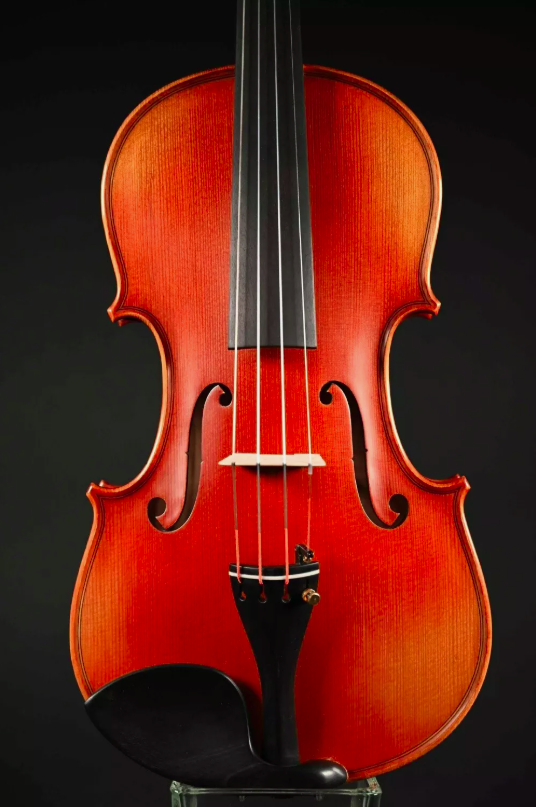 Sandu Stroe 4/4 Meister Violon (Violon) Travail Manuel De Transylvanie