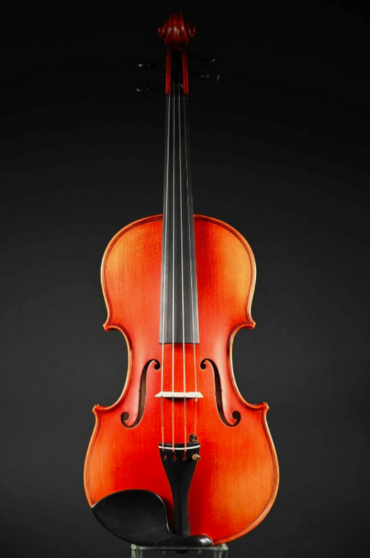 Sandu Stroe 4/4 Meister Violon (Violon) Travail Manuel De Transylvanie