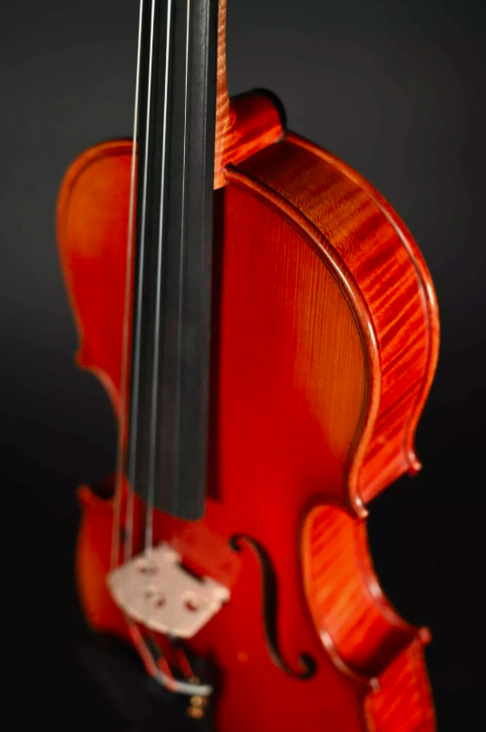 Sandu Stroe 4/4 Meister Violon (Violon) Travail Manuel De Transylvanie