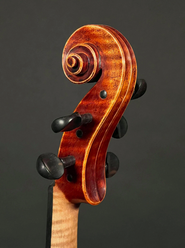 Simon Joseph 16 " 5Saiter " Maître " Concert Alto (Alto)